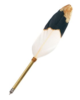 Online Calligraphy Feather Dip Pen