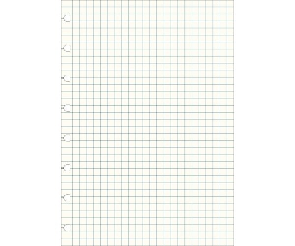 Filofax náhradní listy do zápisníků A4 - čtverečkované